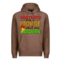 Chestnut juneteenth was a promise what was broken Premium Hoodie - texasbilliewilder