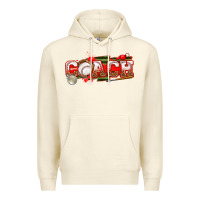 Sandshell baseball coach Premium Hoodie - texasbilliewilder