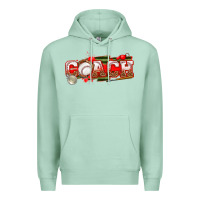 Seafoam baseball coach Premium Hoodie - texasbilliewilder