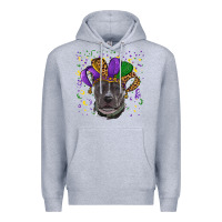 Mardi Gras Pitbull With Hat Premium Hoodie | Teevron