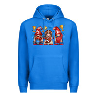 True Royal football gnome with element Premium Hoodie - texasbilliewilder
