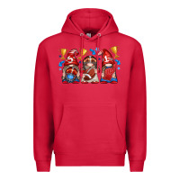 Cardinal football gnome with element Premium Hoodie - texasbilliewilder
