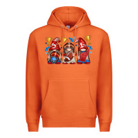 Carrot football gnome with element Premium Hoodie - texasbilliewilder
