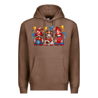 Chestnut football gnome with element Premium Hoodie - texasbilliewilder