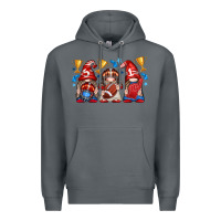 Rock football gnome with element Premium Hoodie - texasbilliewilder