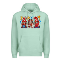 Seafoam football gnome with element Premium Hoodie - texasbilliewilder