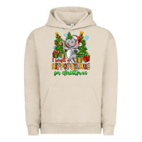 Pigment French Oak i want a hippopotamus for christmas Urban Hoodie - Zillion Design Studio