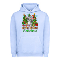 Pigment Grape Ice i want a hippopotamus for christmas Urban Hoodie - Zillion Design Studio