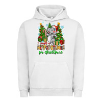 Pigment Lunar Rock i want a hippopotamus for christmas Urban Hoodie - Zillion Design Studio