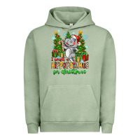 Pigment Oil Green i want a hippopotamus for christmas Urban Hoodie - Zillion Design Studio