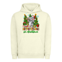 Pigment Pistachio i want a hippopotamus for christmas Urban Hoodie - Zillion Design Studio