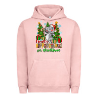 Pigment Salmon i want a hippopotamus for christmas Urban Hoodie - Zillion Design Studio