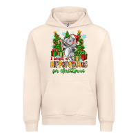 Sandshell i want a hippopotamus for christmas Urban Hoodie - Zillion Design Studio