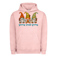 Pigment Salmon gnomes sweet gnomes Urban Hoodie - Zillion Design Studio