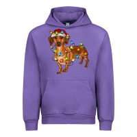 Tulip Dachshund Christmas Lights Urban Hoodie - RanaPortraitStore