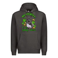Smoke St. Patrick's Day My Pitbull Is My Lucky Charm Premium Hoodie - RanaPortraitStore