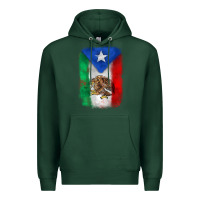 Sports Green mexico and puerto rico flag Premium Hoodie - Zillion Design Studio