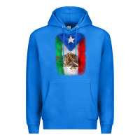True Royal mexico and puerto rico flag Premium Hoodie - Zillion Design Studio