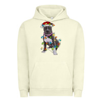 Pigment Pistachio Pitbull With Christmas Lights Urban Hoodie - RanaPortraitStore