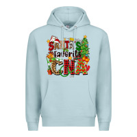 Blue Mist santa's favorite cna Premium Hoodie - Zillion Design Studio