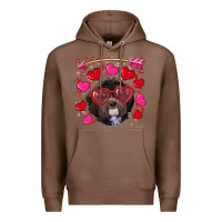 Chestnut Valentine's day havanese dog Premium Hoodie - RanaPortraitStore
