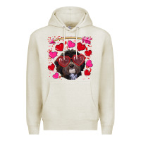 Oatmeal Heather Valentine's day havanese dog Premium Hoodie - RanaPortraitStore
