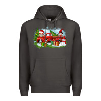 Smoke Christmas gnomes truck Premium Hoodie - Zillion Design Studio