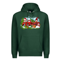 Sports Green Christmas gnomes truck Premium Hoodie - Zillion Design Studio