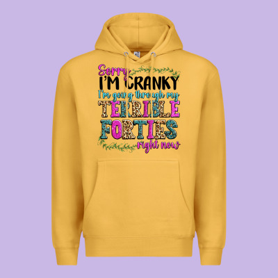 Premium Hoodie sorry im cranky im going through my terrible forti