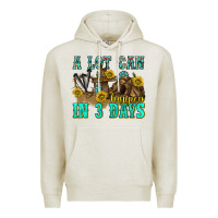 Oatmeal Heather a lot can happen in 3 days western Premium Hoodie - texasbilliewilder