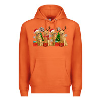 Carrot golden dogs with christmas Premium Hoodie - Zillion Design Studio