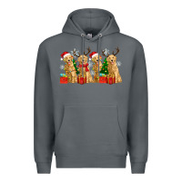 Rock golden dogs with christmas Premium Hoodie - Zillion Design Studio