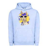 Llama With Sunglasses Urban Hoodie | Teevron