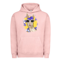 Pigment Salmon Llama With Sunglasses Urban Hoodie - RanaPortraitStore