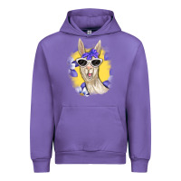 Tulip Llama With Sunglasses Urban Hoodie - RanaPortraitStore