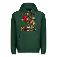 Sports Green jingle horse dec 25 giddy jingle horse pick up fee Premium Hoodie - Zillion Design Studio