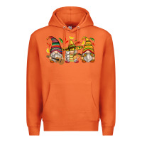 Carrot mexican gnomes Premium Hoodie - Zillion Design Studio