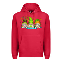 Cardinal frog gnomes Premium Hoodie - Zillion Design Studio