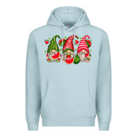 Blue Mist watermelon gnomes Premium Hoodie - Zillion Design Studio