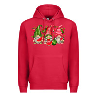 Cardinal watermelon gnomes Premium Hoodie - Zillion Design Studio