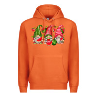 Carrot watermelon gnomes Premium Hoodie - Zillion Design Studio