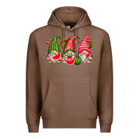 Chestnut watermelon gnomes Premium Hoodie - Zillion Design Studio
