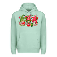 Seafoam watermelon gnomes Premium Hoodie - Zillion Design Studio