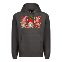 Smoke strawberry gnomes Premium Hoodie - Zillion Design Studio