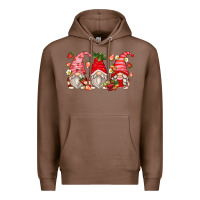 Chestnut strawberry gnomes Premium Hoodie - Zillion Design Studio