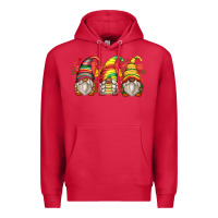Cardinal juneteenth gnomes Premium Hoodie - Zillion Design Studio