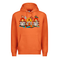 Carrot firefighter gnomes Premium Hoodie - Zillion Design Studio