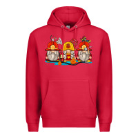 Cardinal firefighter gnomes Premium Hoodie - Zillion Design Studio