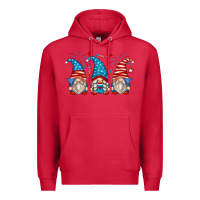 Cardinal fourth of july gnomes Premium Hoodie - Zillion Design Studio