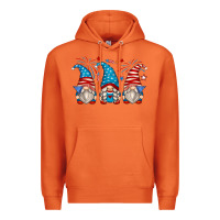 Carrot fourth of july gnomes Premium Hoodie - Zillion Design Studio